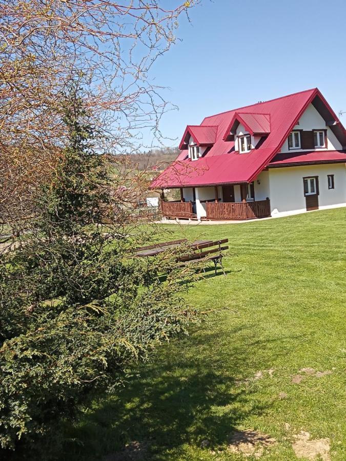 Drozdowka Nad Solina - Chata Z Kominkiem Экстерьер фото