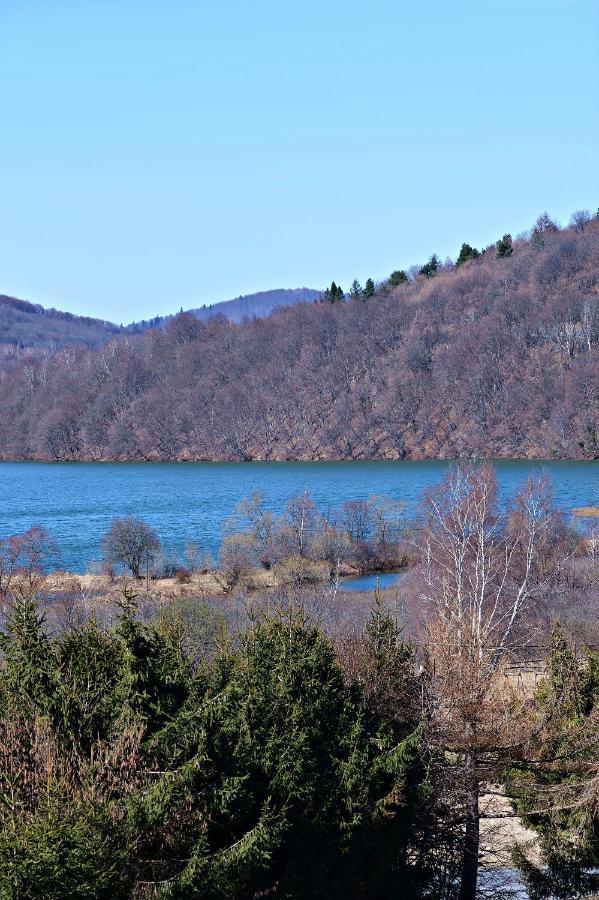 Drozdowka Nad Solina - Chata Z Kominkiem Экстерьер фото