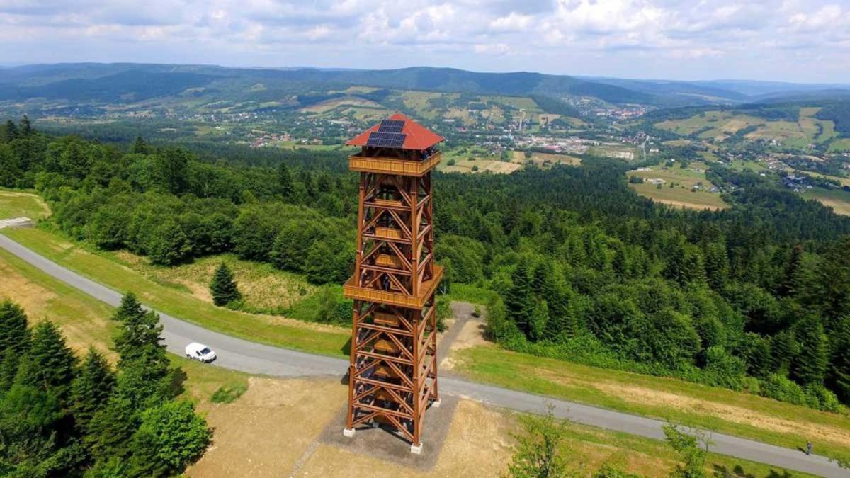 Drozdowka Nad Solina - Chata Z Kominkiem Экстерьер фото