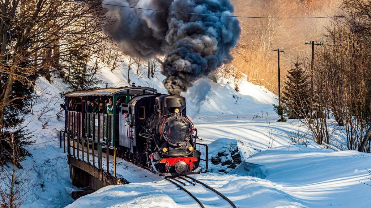 Drozdowka Nad Solina - Chata Z Kominkiem Экстерьер фото